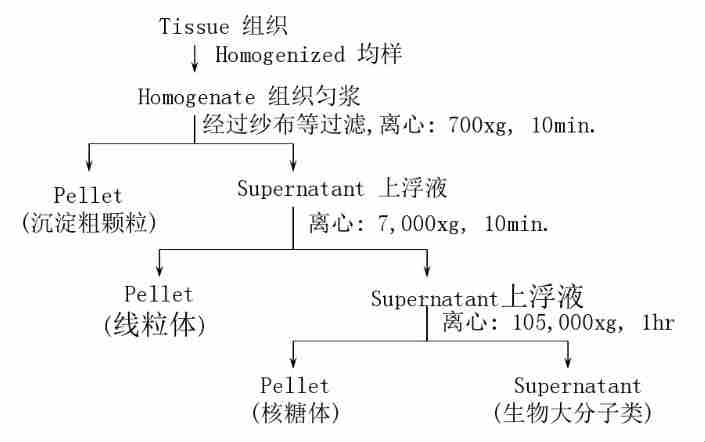 99cybermonday離心機售後維修