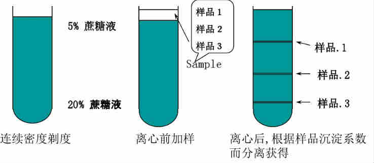 99cybermonday離心機維修電話