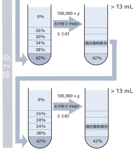 利用密度梯度超速離心法從(cong) 水稻幼苗中分離和富集高爾基體(ti) 